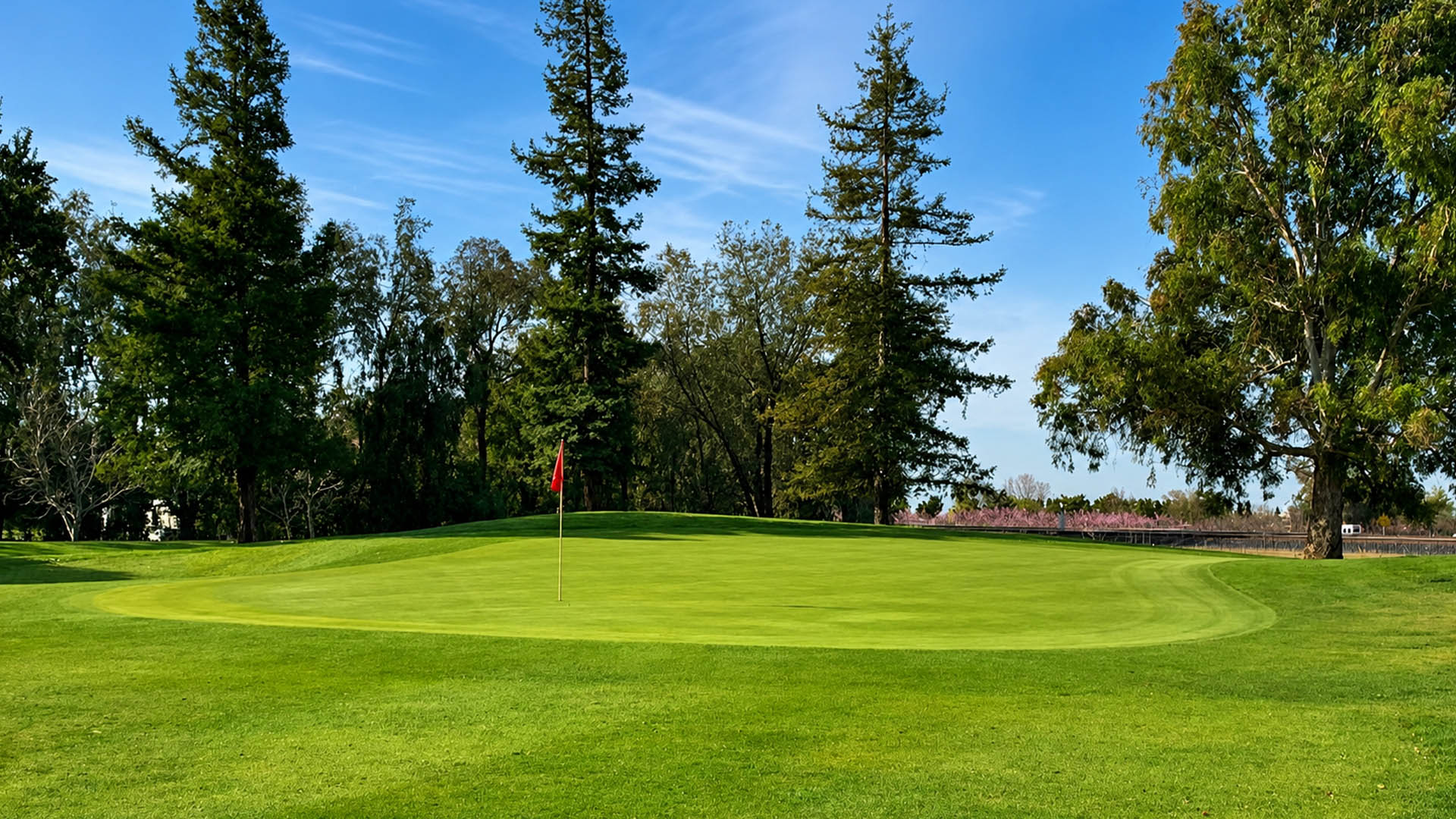 Elevated putting green with a red flag surrounded by mature trees at Micke Grove Golf Links.