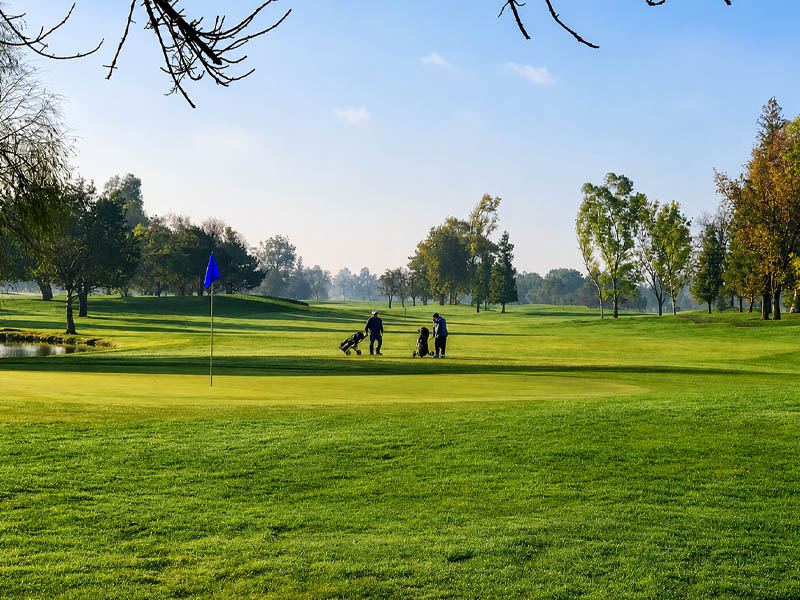 Two golfers walking with push carts near a putting green at Micke Grove Golf Links on a sunny morning.