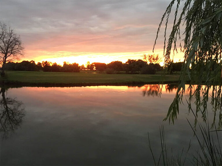 Golden sunset reflected across a calm golf course pond, framed by silhouetted trees and hanging willow branches.
