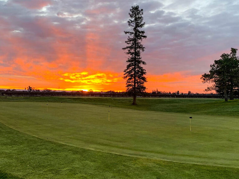 Vibrant orange sunset behind a practice putting green and tall pine tree at Micke Grove Golf Links.