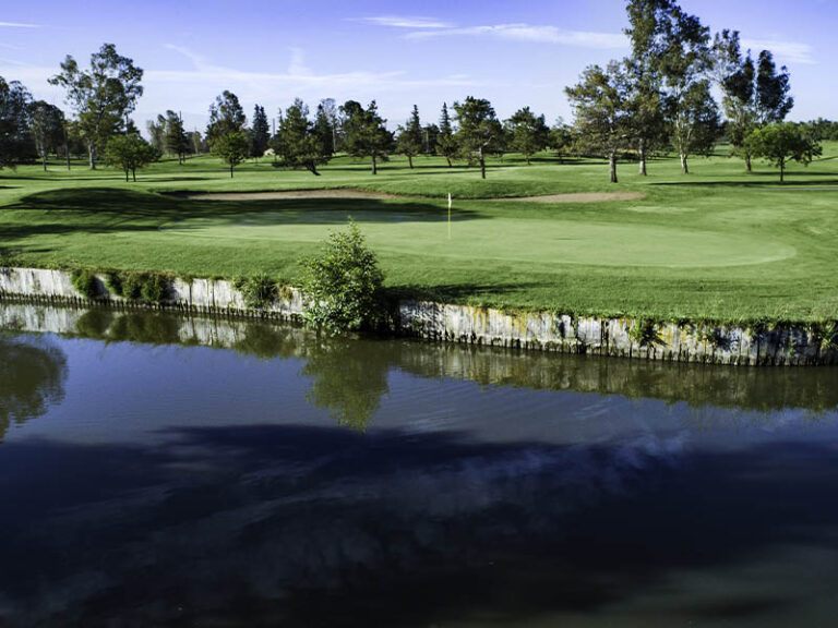 Golf green with a flagstick positioned beside a reflective pond and surrounded by mature trees.