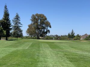 Photo Gallery - Micke Grove Golf Links